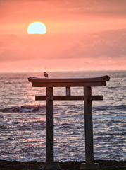 2024-08-04_神磯の鳥居-4
