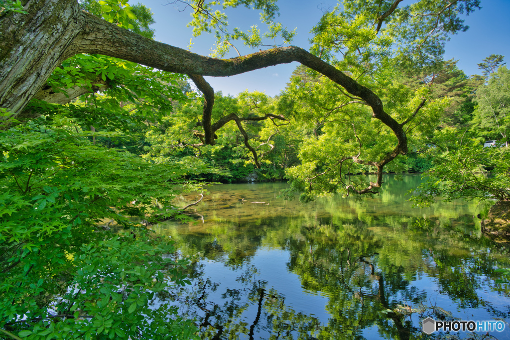 2020-06_五色沼_母沼