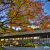 2020-11-08_大雄寺(1)