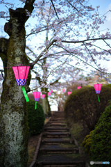 2023-03-27_八幡山公園-5