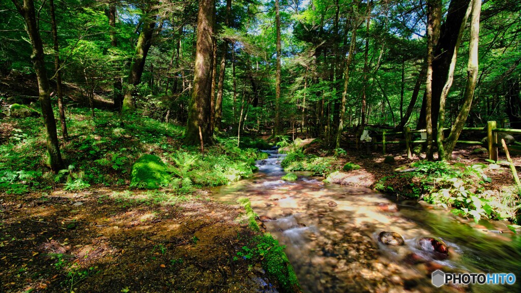 2021-09-19_尚仁沢湧水-3