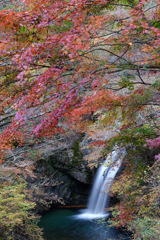 2023-11-11_大滝(鹿沼市)-2