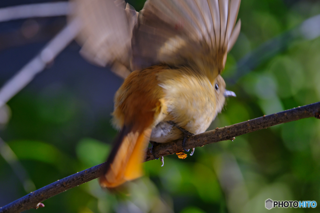 2023-01-01_栃木県 井頭公園-2