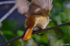 2023-01-01_栃木県 井頭公園-2
