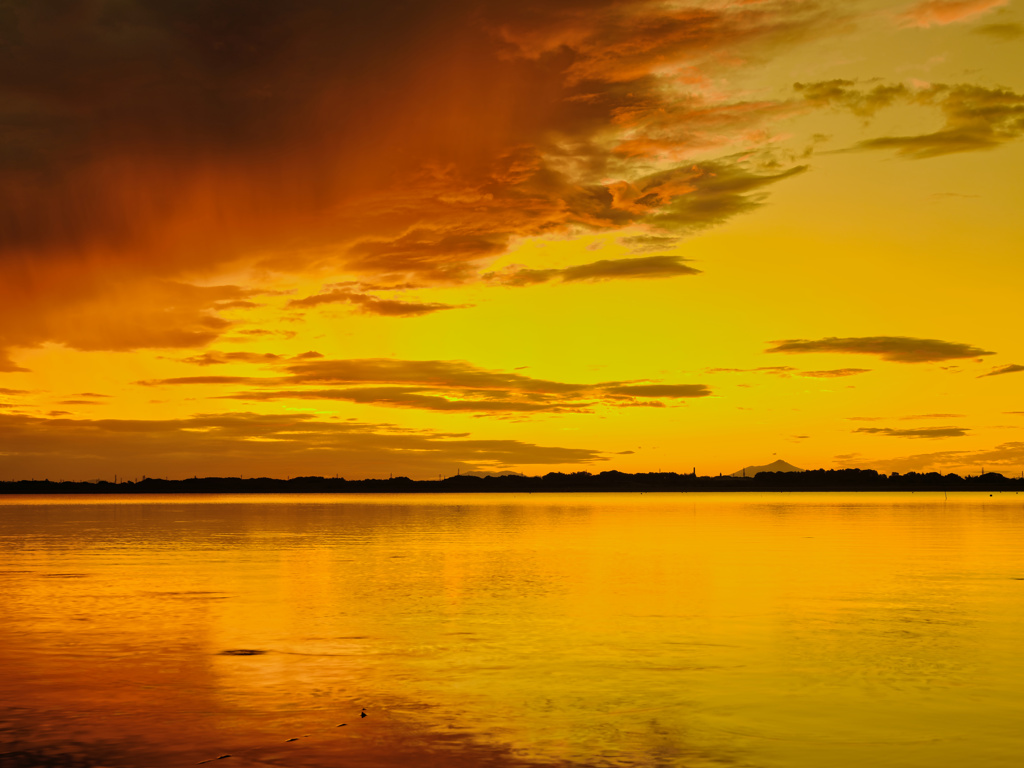 2021-08-10_筑波山-1(渡良瀬遊水地より)