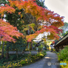 2020-11-08_大雄寺(2)