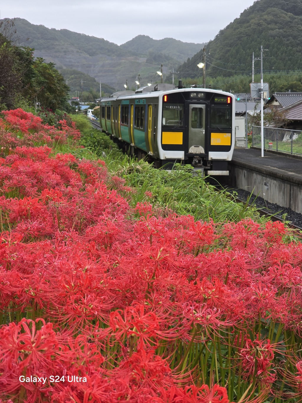 2024-10-05_水郡線(中舟生駅)