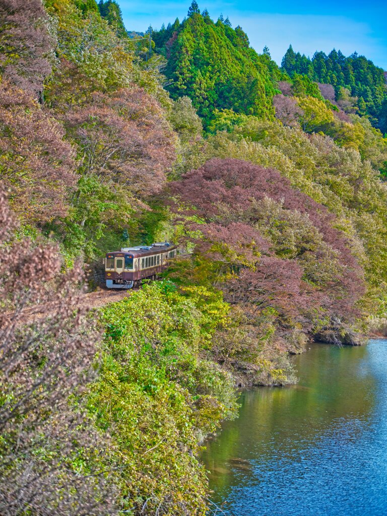 2023-11-11_わたらせ渓谷鉄道-4