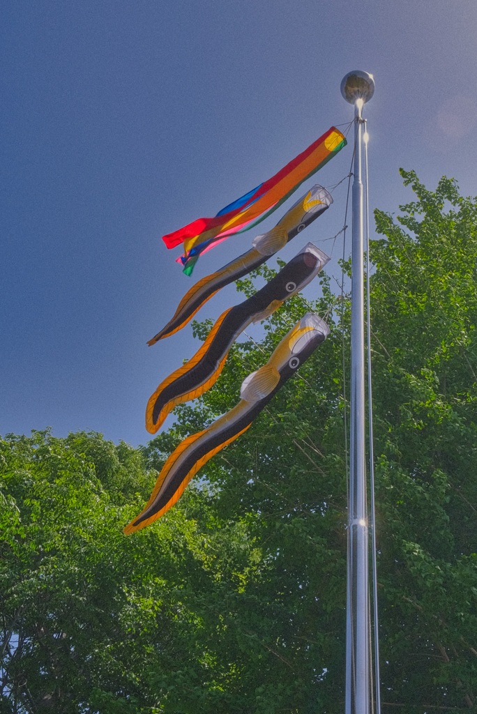 2021-05-04_平柳星宮神社-4
