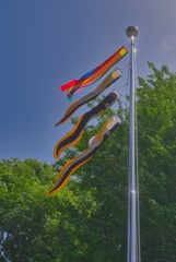 2021-05-04_平柳星宮神社-4