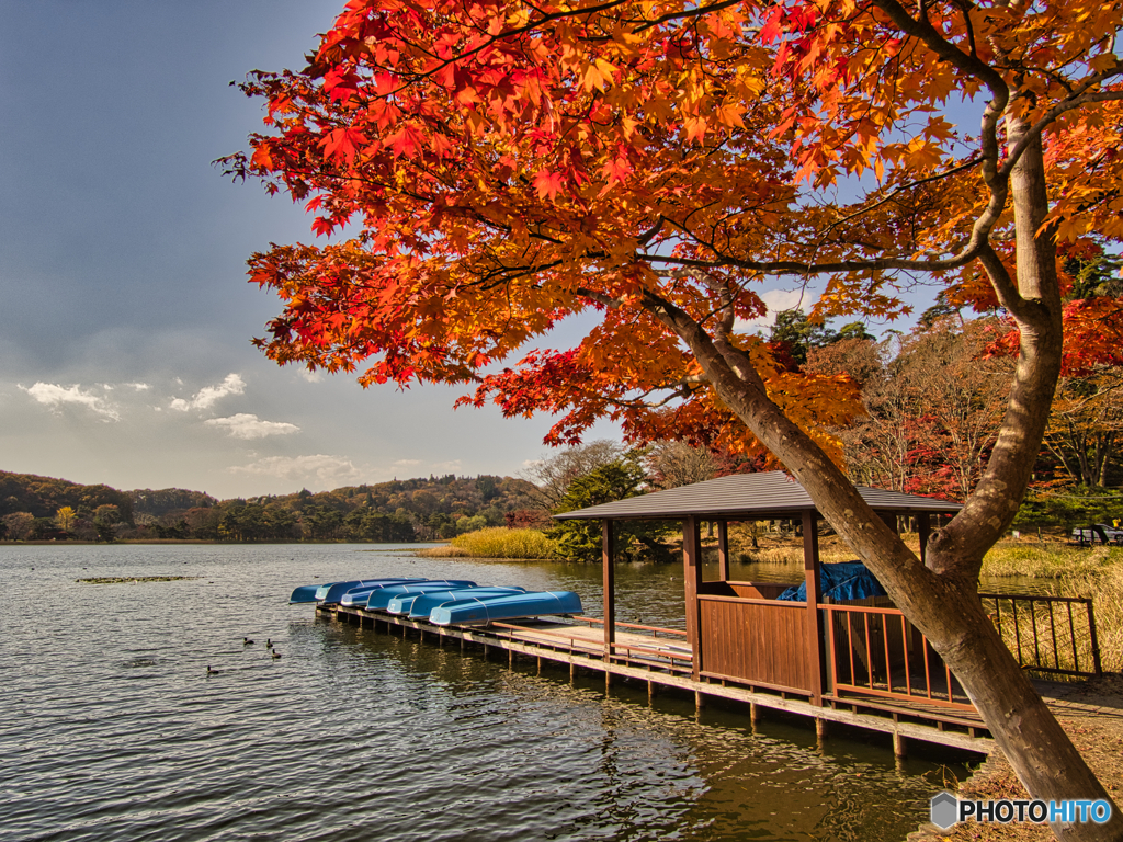 2020-11-08_南湖公園(1)