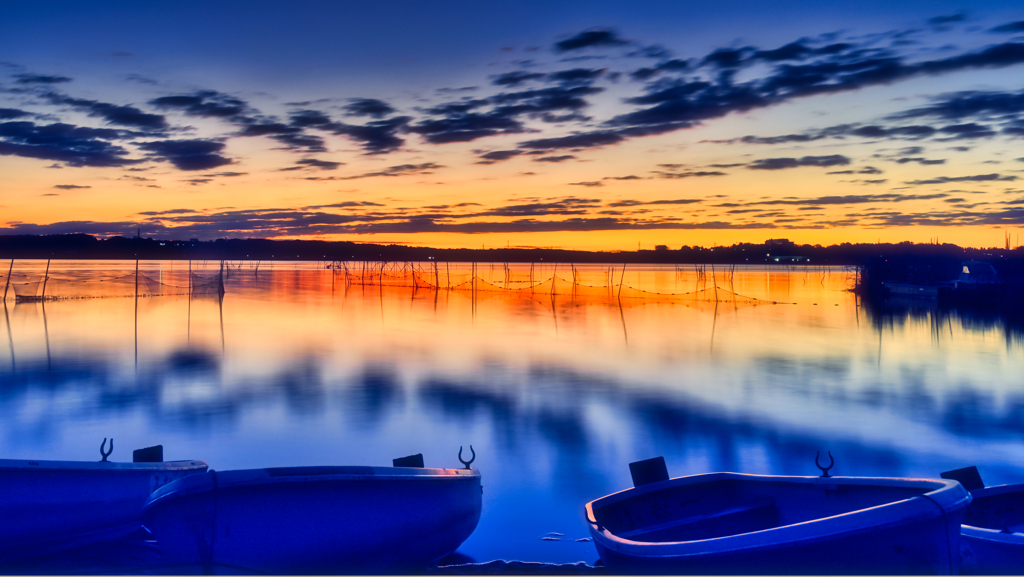 2025-11-29_西印旛沼-1