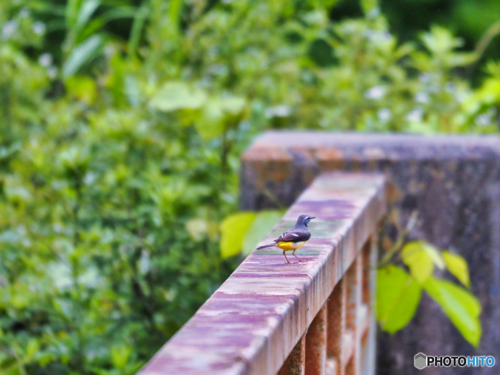 2021--7-04_湯西川ダム-1