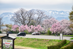 2025-04-20_伊佐須美神社付近河川