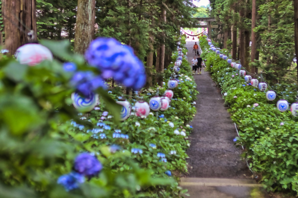 2024-06-16_磯山神社-1