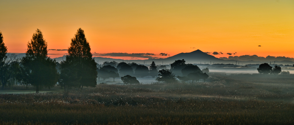 2025-11-22_渡良瀬遊水地 北エントランス-2