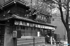 2023-04-08_桐生さんぽ-2