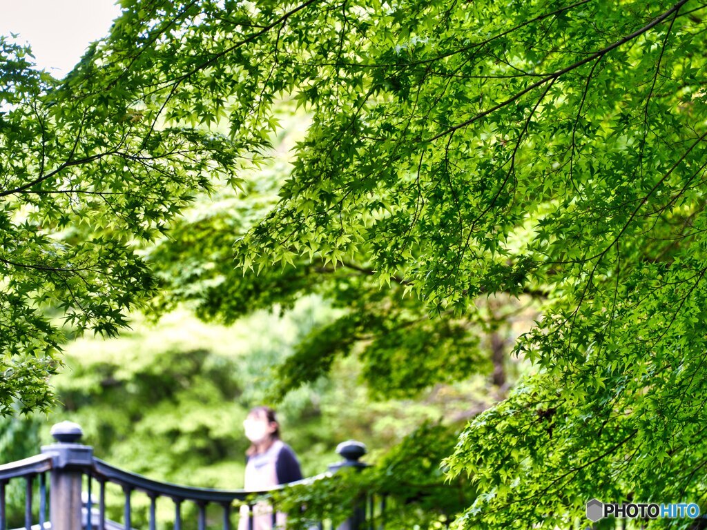 2022-05-14_栃木県中央公園-1