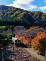 2023-11-19_わたらせ渓谷鐵道(沢入駅)-2