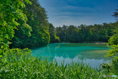 2020-06-21_五色沼_青沼(1)