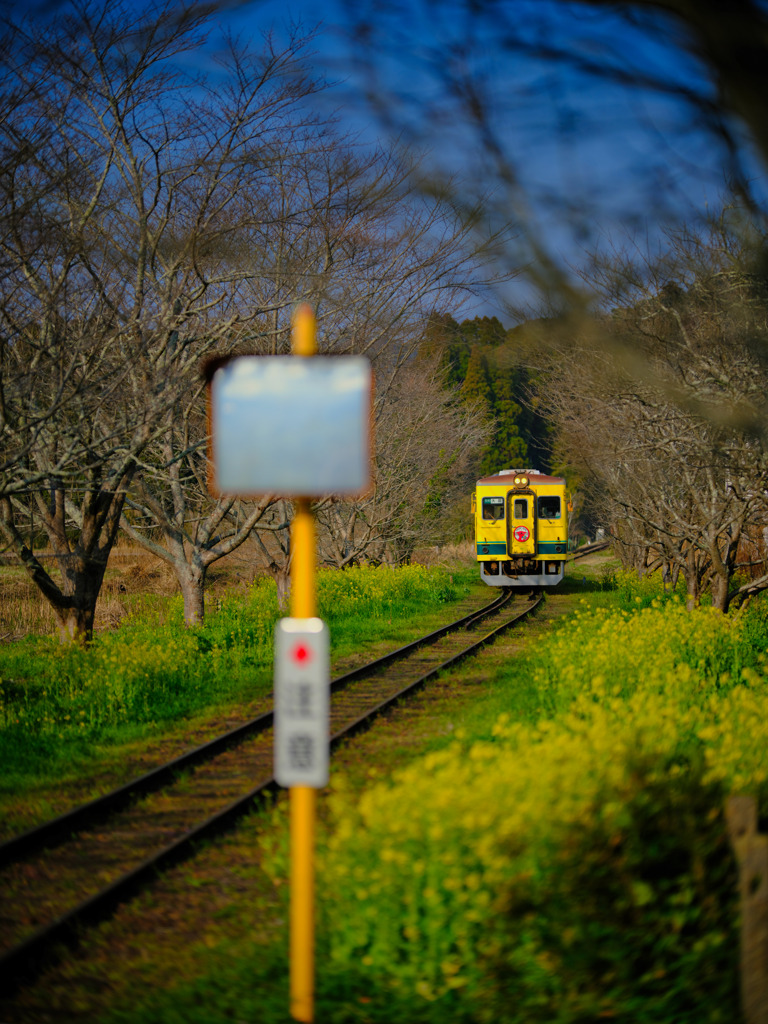 2024-03-16_いすみ鉄道-3