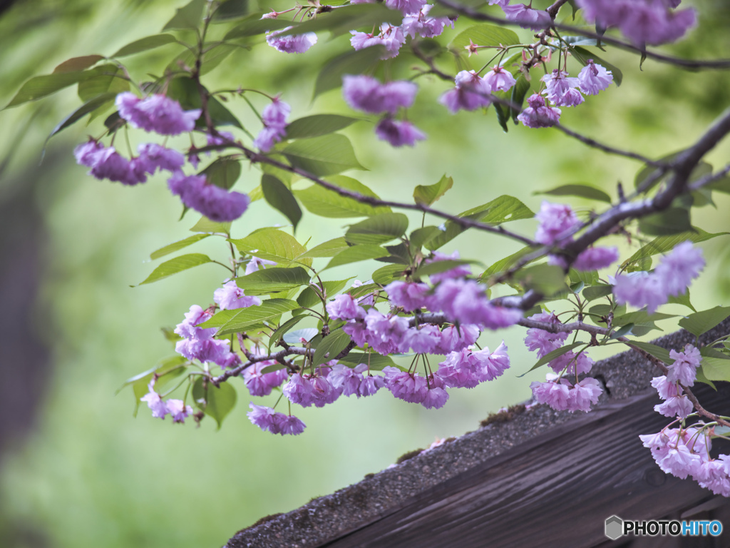 2022-05-07_足尾駅