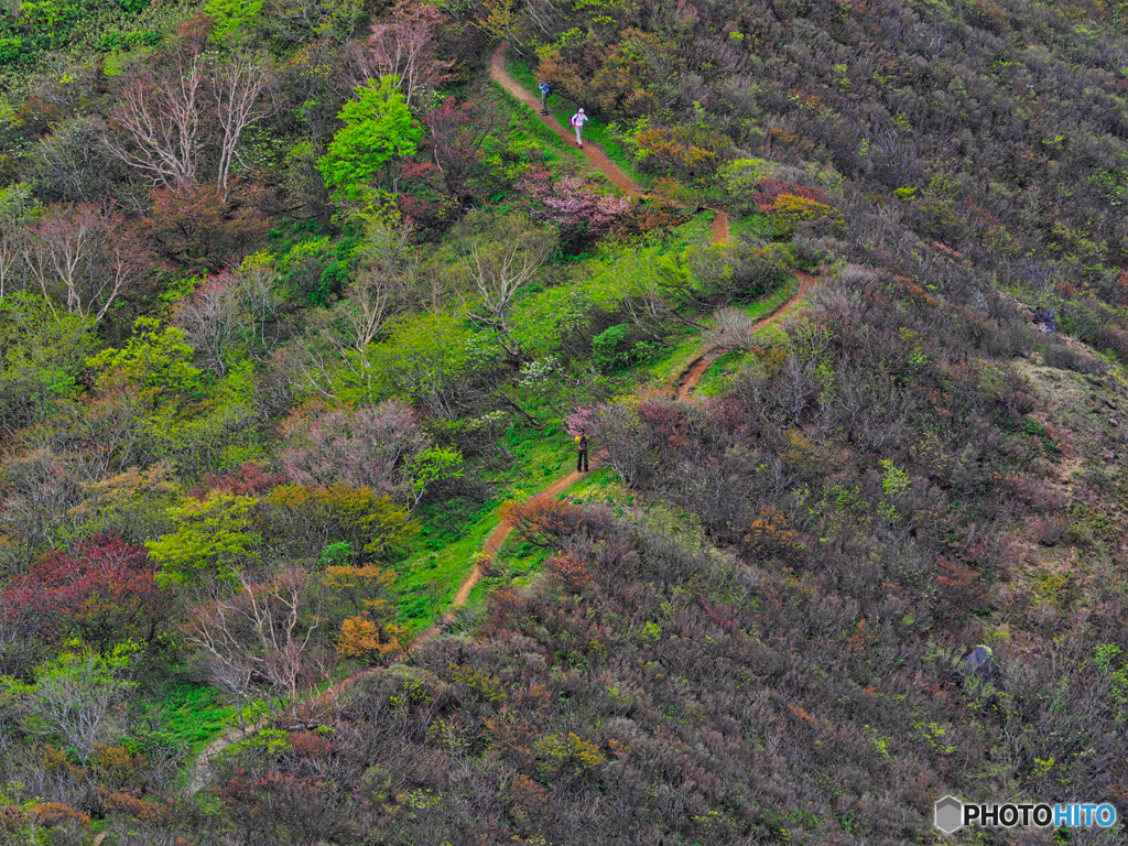 2021-05-29_那須散策-5