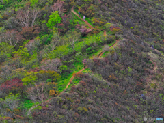 2021-05-29_那須散策-5