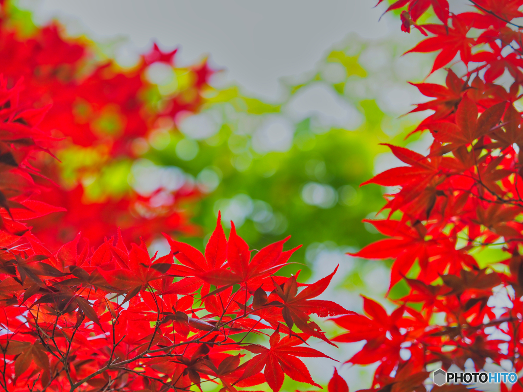 2021-06-06_平家の里-3