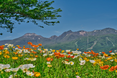 2020_那須フラワーワールド(5)