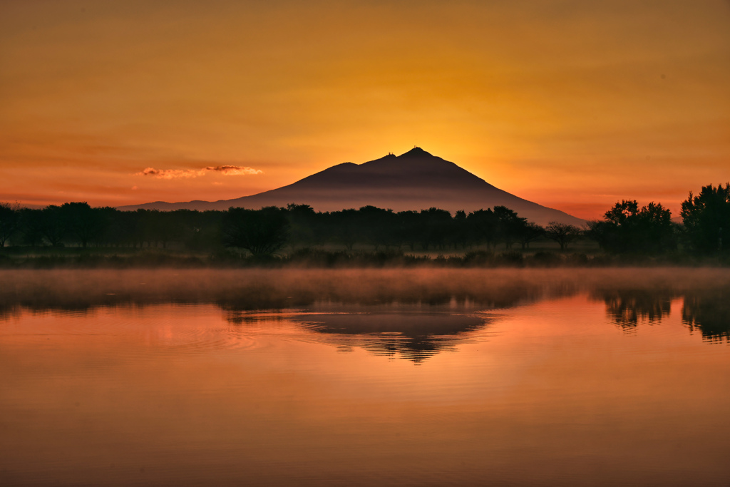 2025-11-03_母子島遊水地-4