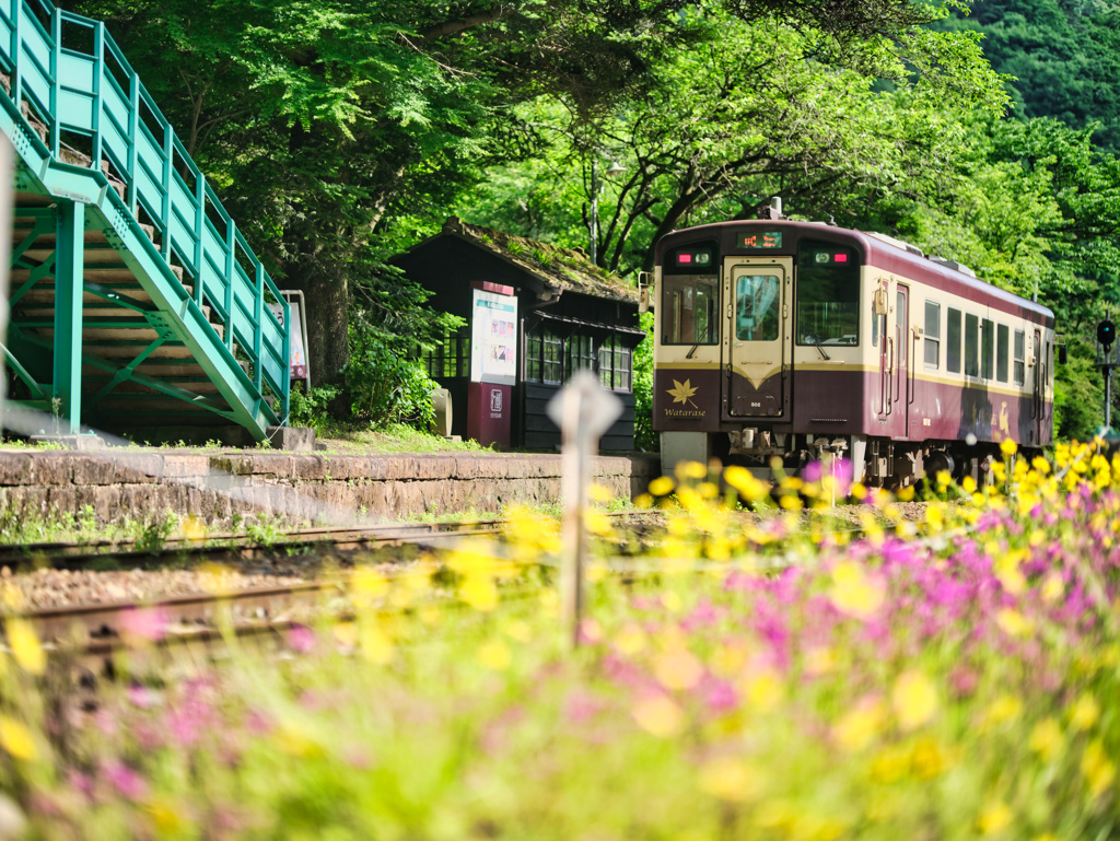 2024-06-08_わたらせ渓谷鉄道-1
