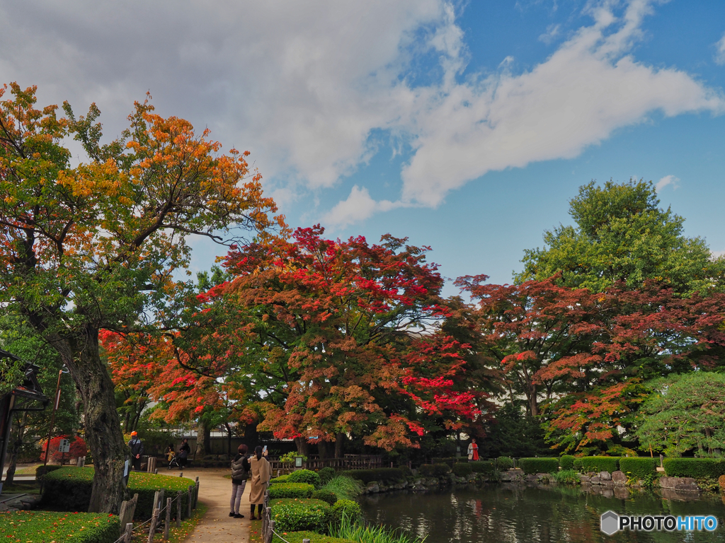 2020-10-29_もみじ公園(1)