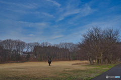 2021-03-06_公園