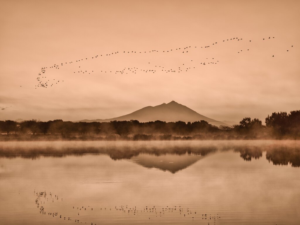 2025-11-03_母子島遊水地-2