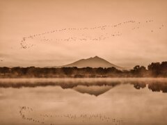 2025-11-03_母子島遊水地-2