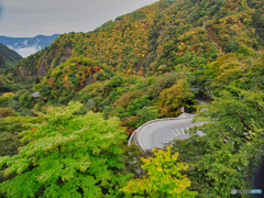 2020-10-16_いろは坂(1)