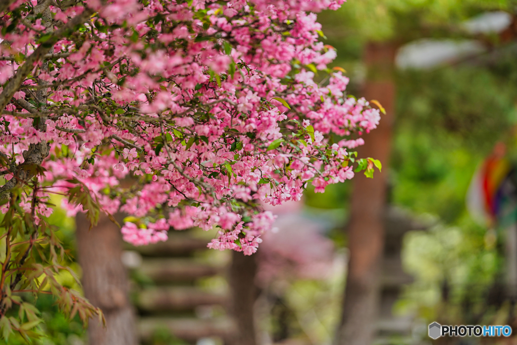 2021-05-01_塩原温泉-5