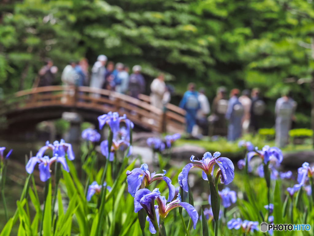 2022-05-14_栃木県中央公園-3