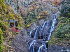 2020-11-14_袋田の滝(2)