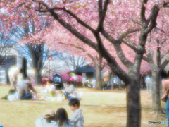 2022-03-20_宇都宮 城址公園-3