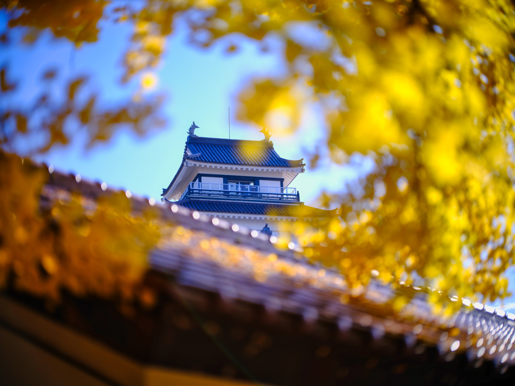 2025-11-15_鶴ヶ城-1