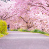 737D2B0C-C07B-4D85-BAB2-62563266CEBB
