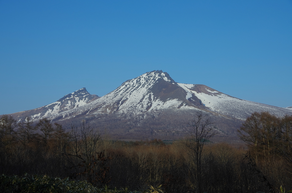 春の駒ヶ岳