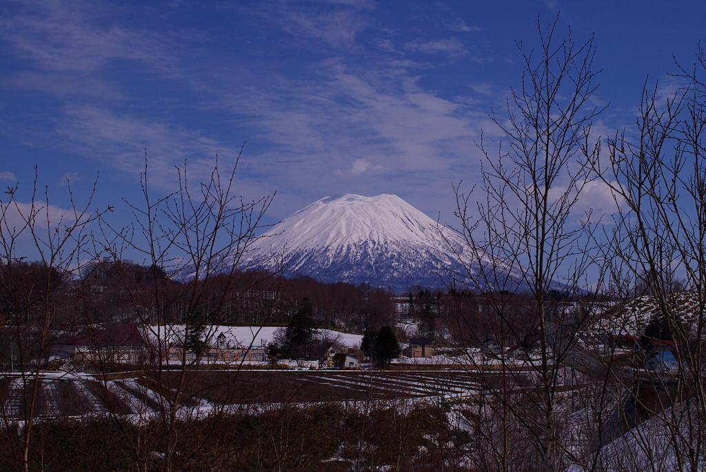 羊蹄山と農耕地