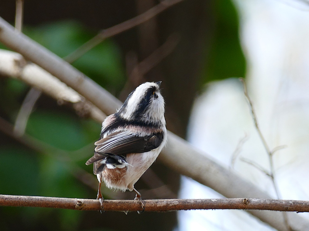 細かすぎて伝わらない⑩