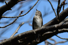 何見てるのかな？