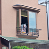 川越まつり④