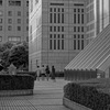 b/w7