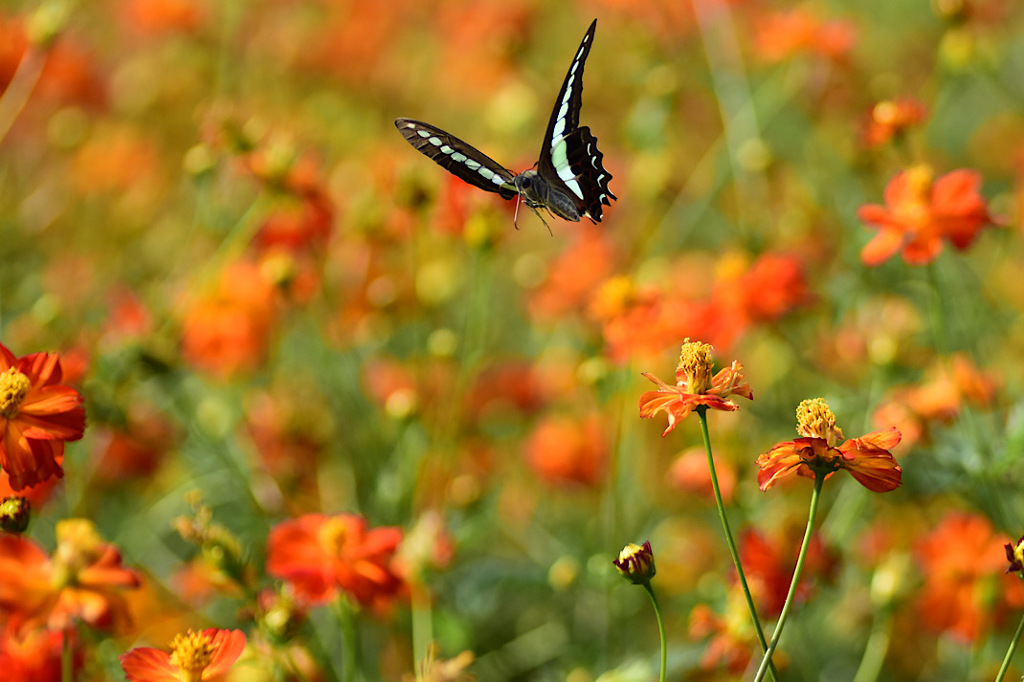 タムキューの思い出③